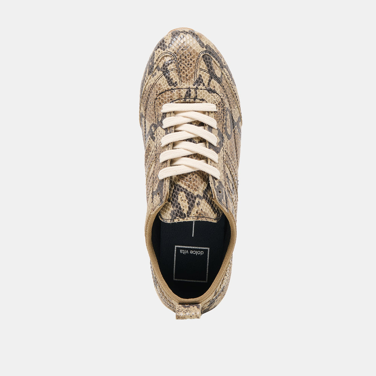 Dolce Vita SHOES Viper Snake Print Embossed Leather Sneakers