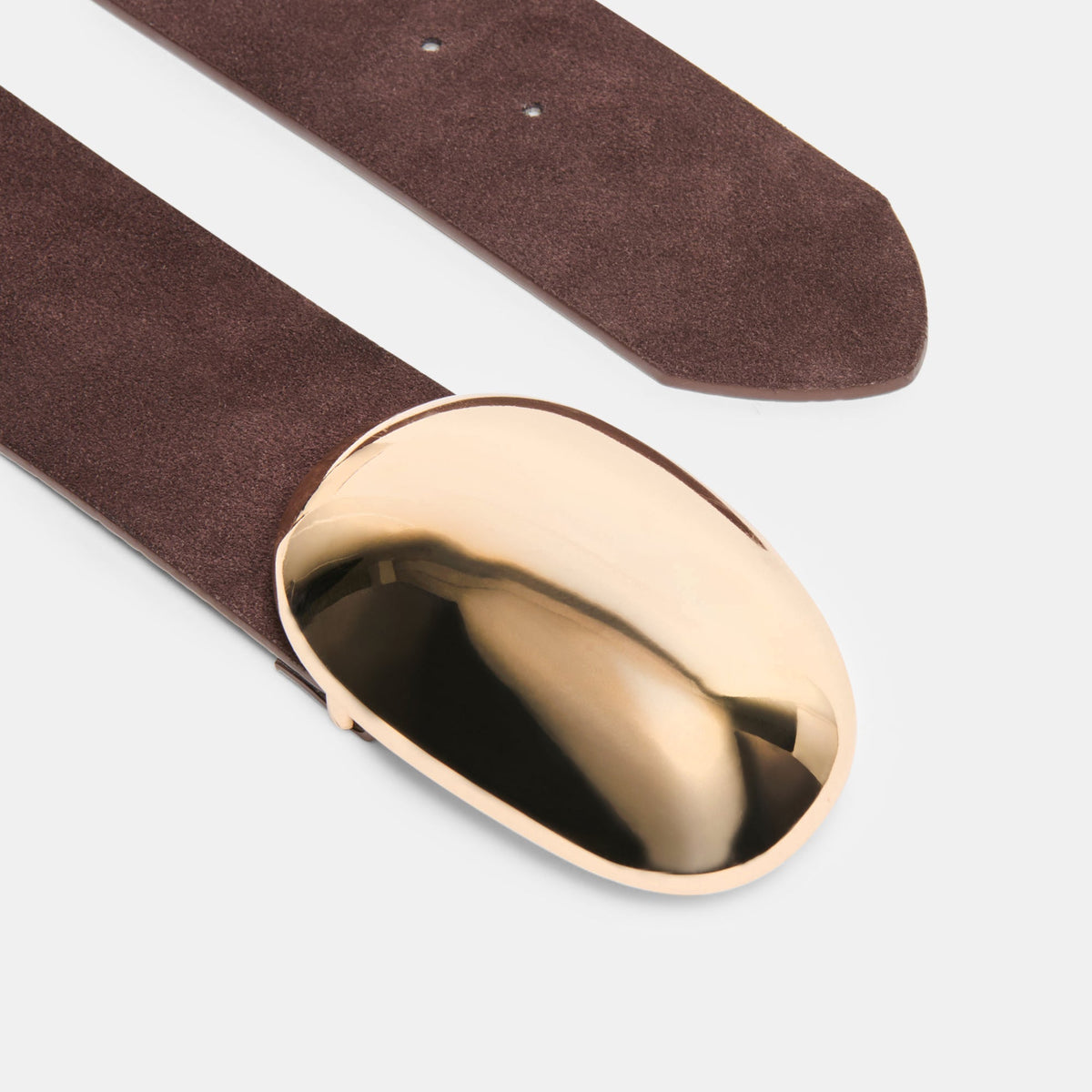 Dolce Vita ACCESSORIES Bubble Mahogany Gold Buckle Belt